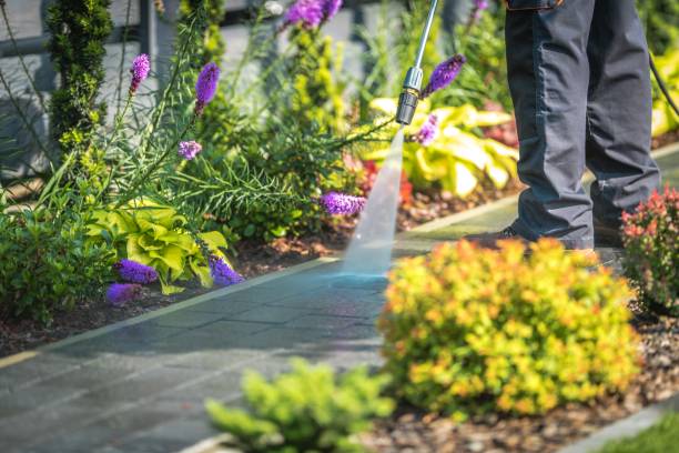 Reliable Wheeling, IL Pressure Washing Services Solutions