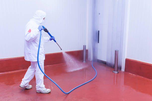 Best Residential House Exterior Washing  in Wheeling, IL